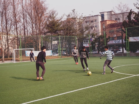 Turf view