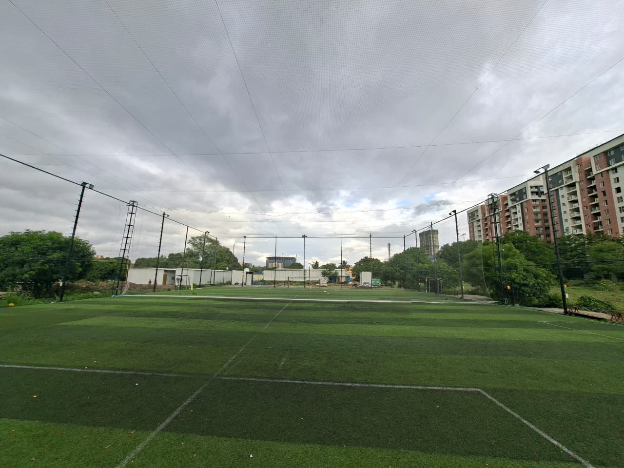 Turf view