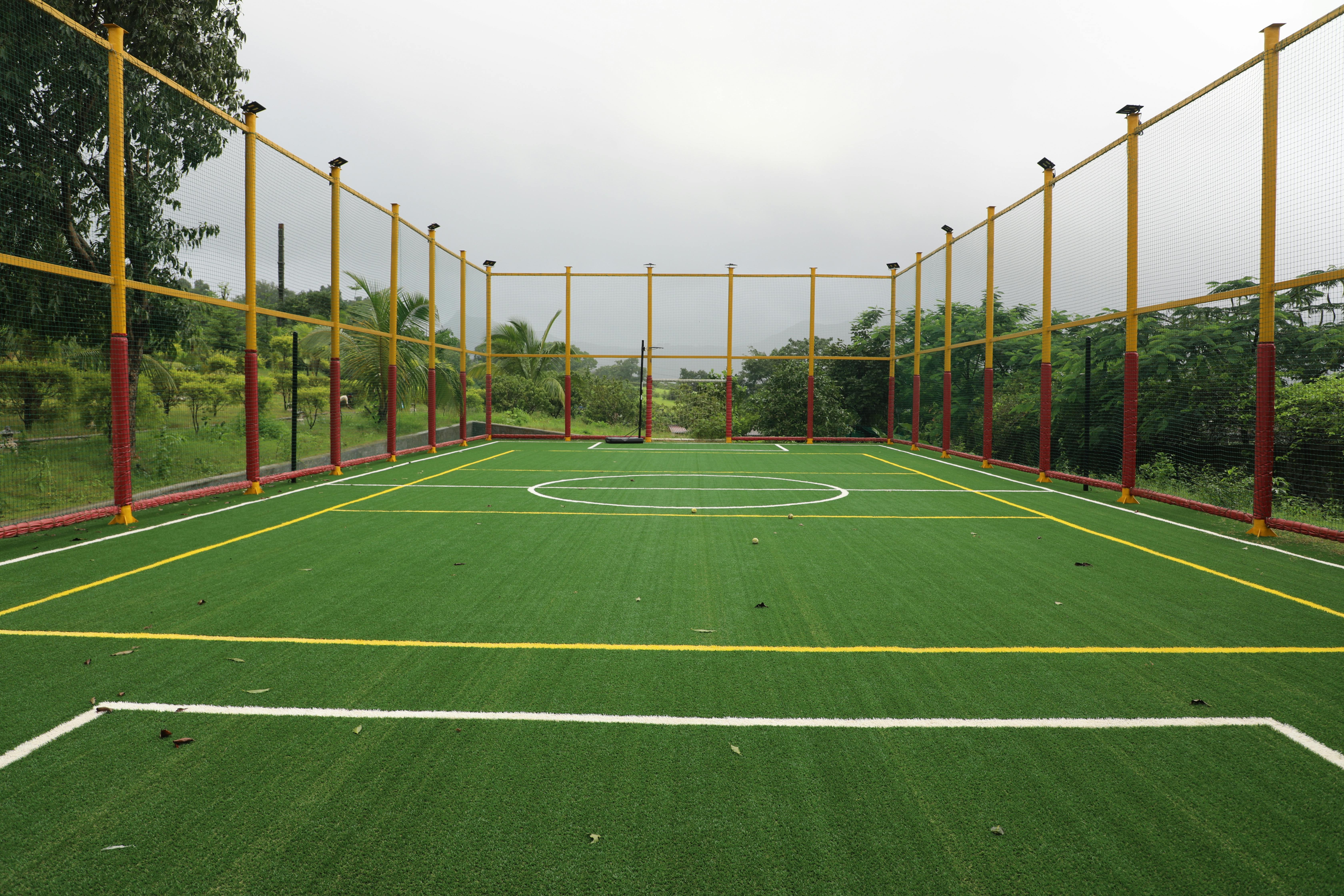 Turf view