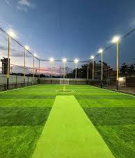 Turf view