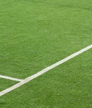 Turf view