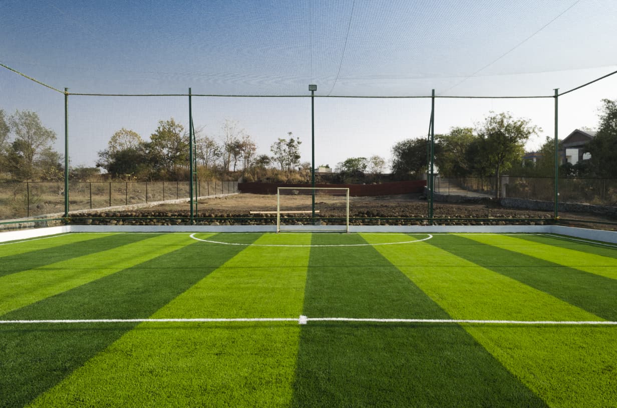 Turf view